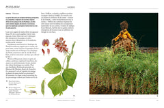 Le fabuleux langage des plantes - Art, nature & symbolisme