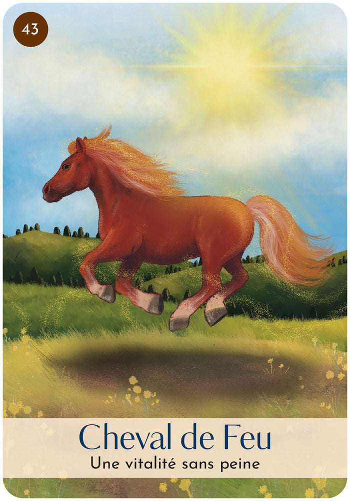 Les 5 éléments - cartes oracle