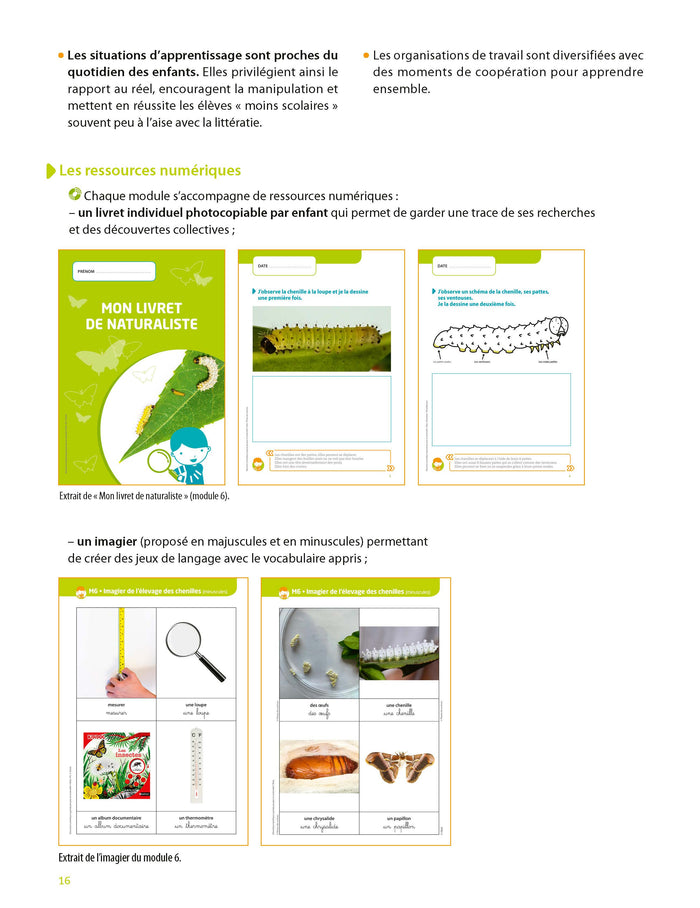 Education scientifique à grands pas -PS-MS-GS