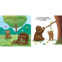 Petit ours