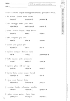 Lire et comprendre CM + Téléchargement
