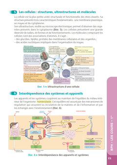Guide bac ST2S - Spécialité Chimie, Biologie et Physiopathologie humaines 1re/ Tle - Réflexe - N° 7