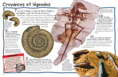 Les fossiles - 100 infos à connaître