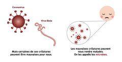 La théorie microbienne pour les bébés