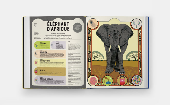 Supersanimaux - Superpouvoirs