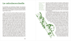 Une mathématicienne au jardin