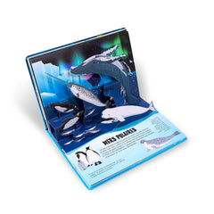 La nature en pop-up - Mer