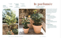 Pots et jardinières