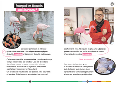 Comment se forme un arc-en-ciel et autres questions colorées... Epicurieux