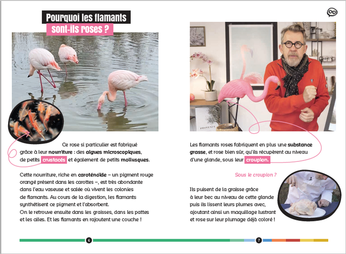 Comment se forme un arc-en-ciel et autres questions colorées... Epicurieux