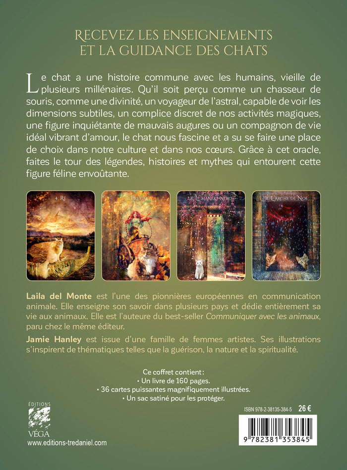 L'oracle initiatique des chats