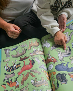 Beaucoup beaucoup d'animaux