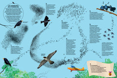 Chorégraphies animales