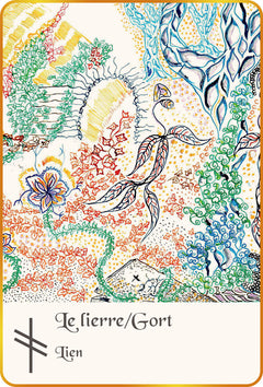 L'Ogham du bois sacré - Cartes Oracle