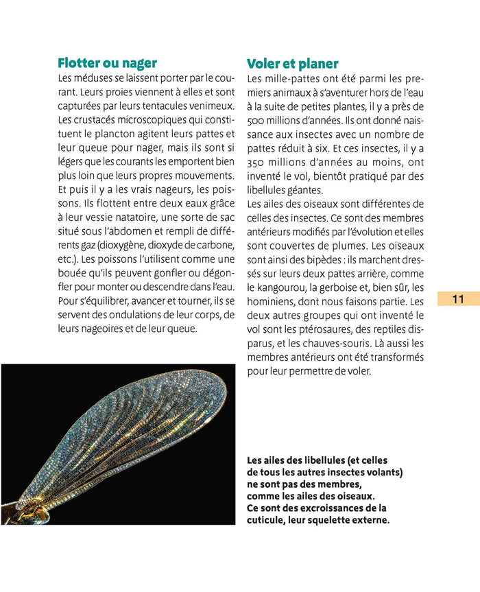 La vie animale 6-12 ans