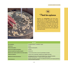 Faire ses graines c'est facile !