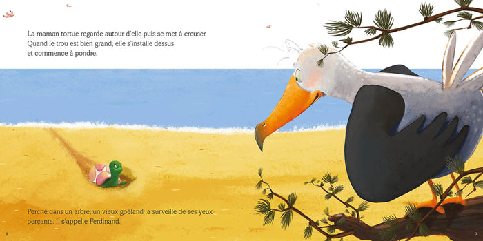 Ferdinand le papa goéland