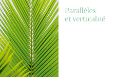 La géometrie dans le monde végétal