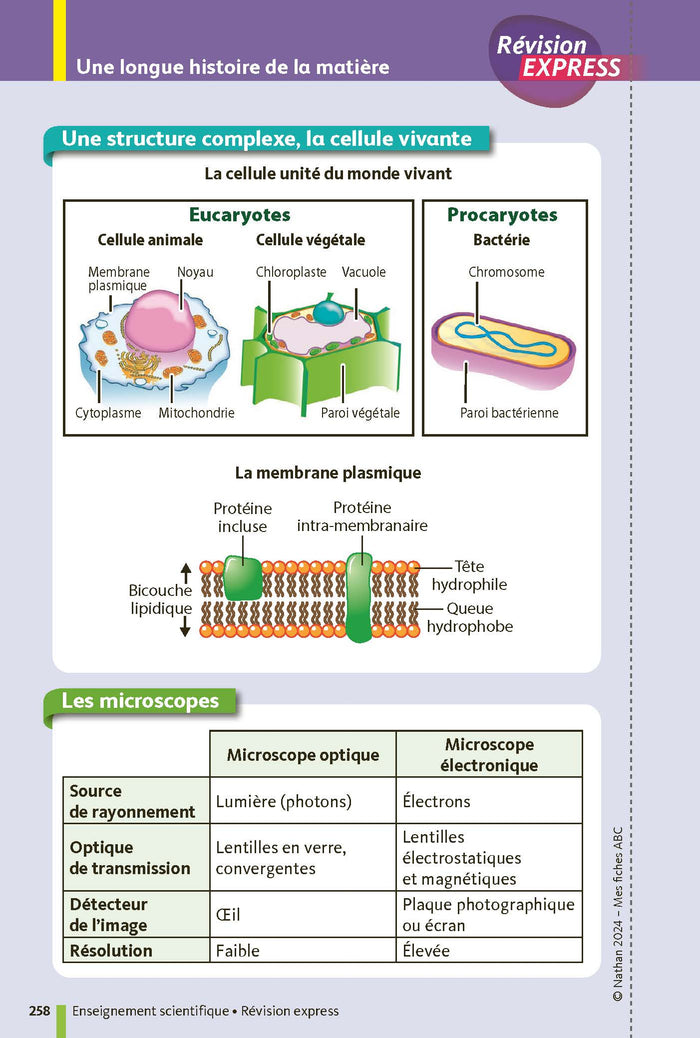 Ma Compil Fiches Bac 1re 2024