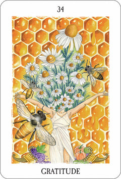 L'oracle des curieux hasards