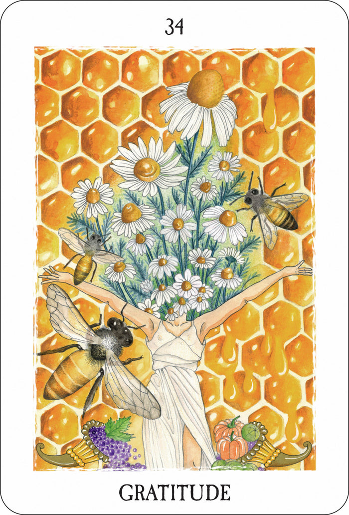 L'oracle des curieux hasards