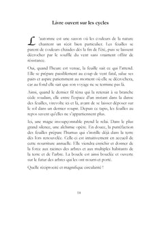 Révéler l'or dans l'ordinaire des jours