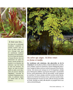 Au bonheur des arbres