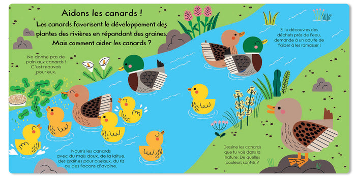 Le Canard