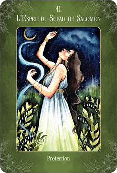 Le sentier des sorcières