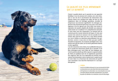 Construire une vraie relation avec son chien