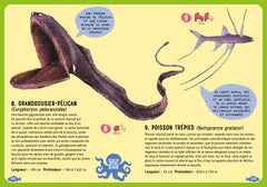 Guide des poissons du monde