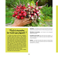 Mon potager riche en saveurs !