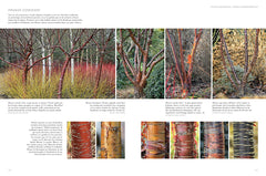 Jardins d'hiver - Une saison réinventée