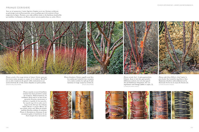 Jardins d'hiver - Une saison réinventée