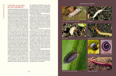 Prendre soin de son sol - Mieux le comprendre, le fertiliser et favoriser la vie