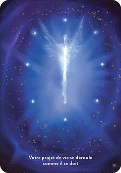 L'oracle des esprits guérisseurs