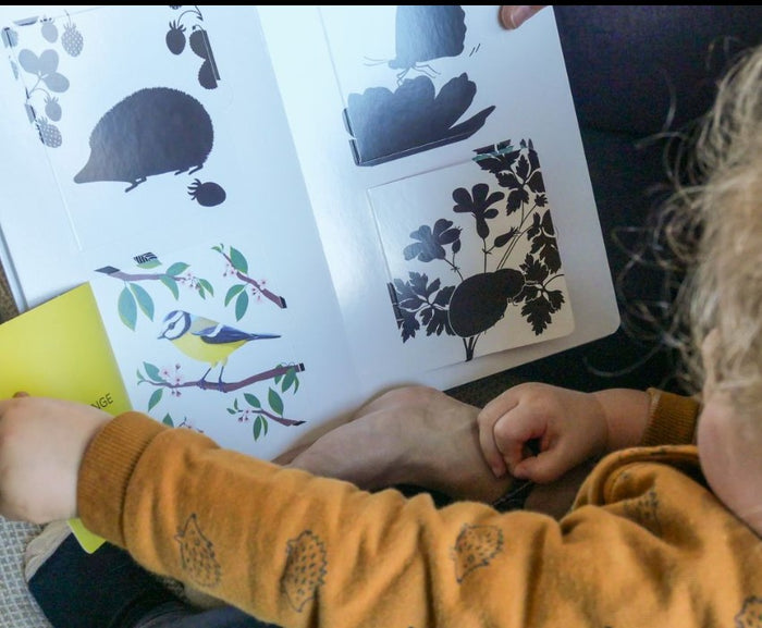 Imagier des animaux - Qui se cache derrière les flaps ?