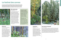 Une année au jardin avec un dingue de plantes