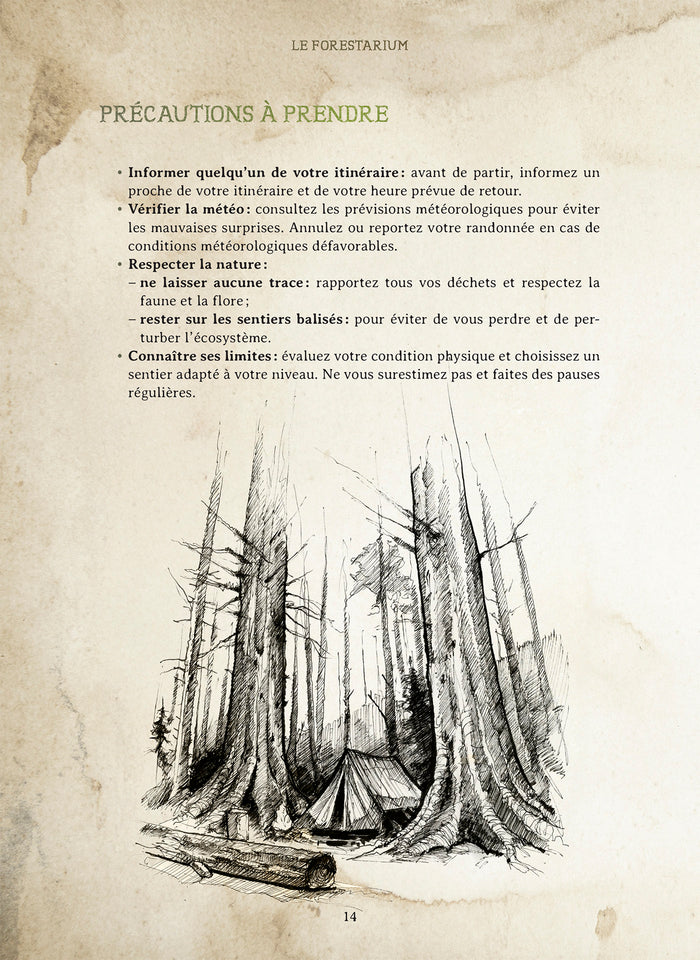 Le Forestarium - Mythes, légendes et explorations au coeur de la forêt