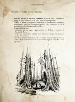 Le Forestarium - Mythes, légendes et explorations au coeur de la forêt