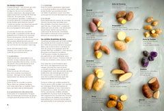 Patates - 50 recettes pour avoir la frite