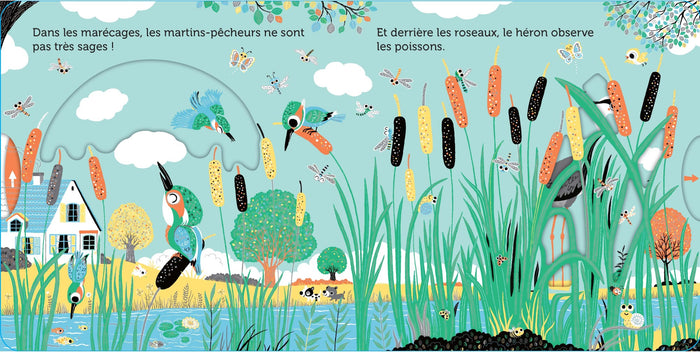 Promenade au bord de la rivière