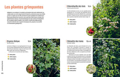 Créer un beau jardin-refuge pour les oiseaux