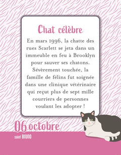 Le Grand 365 jours pour les amoureux des chats