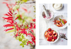 Chips de dahlias & Muffins aux coquelicots