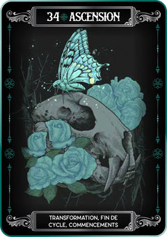 Coffret Earth and Bone - Cartes Oracle