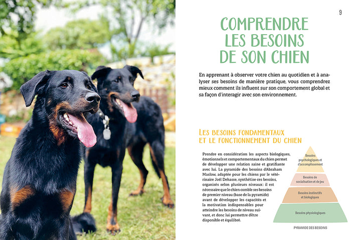 Construire une vraie relation avec son chien