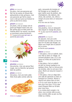 Dictionnaire Le Robert Benjamin