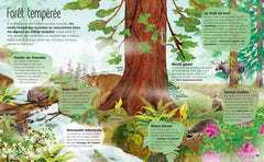 Arbres