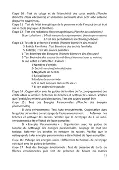 Guide pratique des soins énergétiques pour thérapeutes et particuliers
